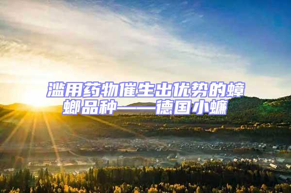 濫用藥物催生出優(yōu)勢(shì)的蟑螂品種——德國(guó)小蠊