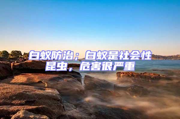 白蟻防治；白蟻是社會性昆蟲，危害很嚴重