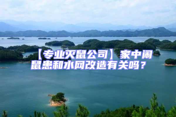 【專業滅鼠公司】家中鬧鼠患和水網改造有關嗎？