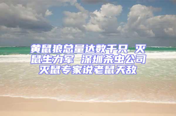 黃鼠狼總量達數千只 滅鼠生力軍 深圳殺蟲公司滅鼠專家說老鼠天敵