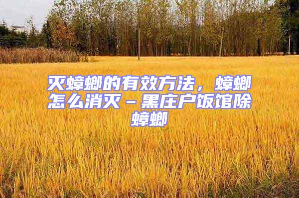 滅蟑螂的有效方法，蟑螂怎么消滅–黑莊戶飯館除蟑螂