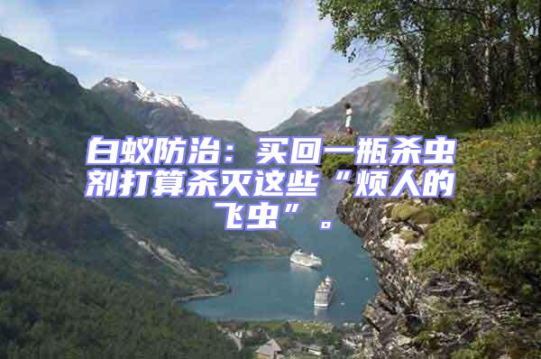 白蟻防治：買回一瓶殺蟲劑打算殺滅這些“煩人的飛蟲”。