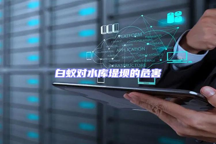 白蟻對水庫堤壩的危害