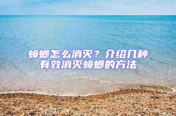 蟑螂怎么消滅？介紹幾種有效消滅蟑螂的方法