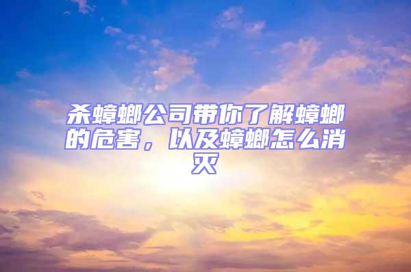 殺蟑螂公司帶你了解蟑螂的危害，以及蟑螂怎么消滅