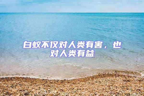 白蟻不僅對人類有害，也對人類有益