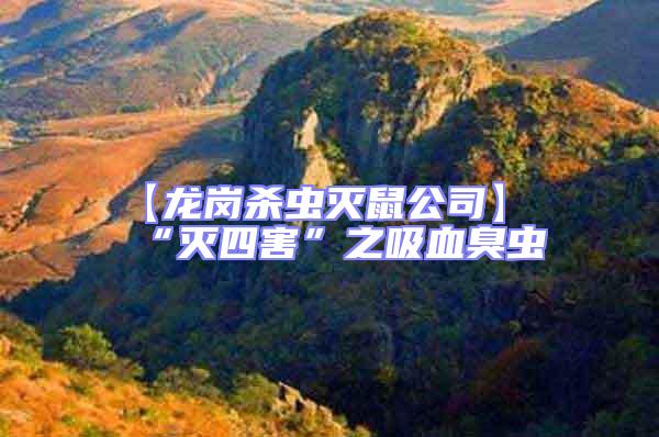 【龍崗殺蟲滅鼠公司】“滅四害”之吸血臭蟲