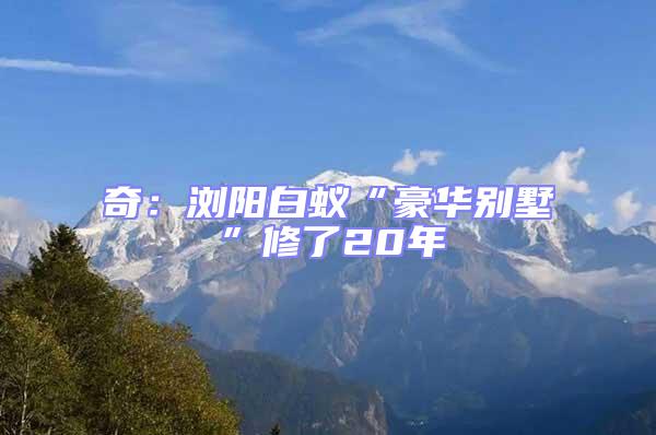 奇：瀏陽白蟻“豪華別墅”修了20年
