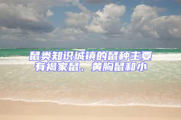 鼠類知識(shí)城鎮(zhèn)的鼠種主要有褐家鼠、黃胸鼠和小