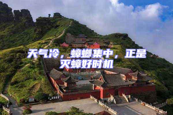 天氣冷，蟑螂集中，正是滅蟑好時機(jī)