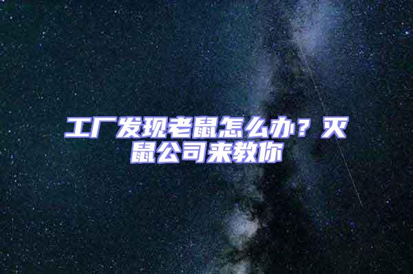工廠發現老鼠怎么辦？滅鼠公司來教你