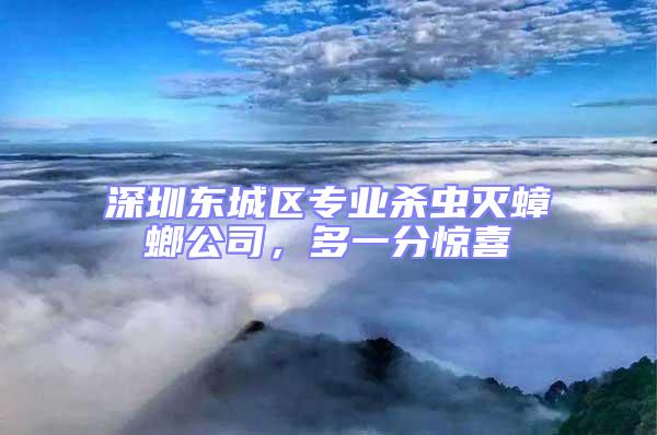 深圳東城區專業殺蟲滅蟑螂公司，多一分驚喜