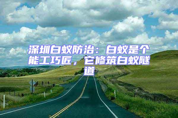 深圳白蟻防治：白蟻是個(gè)能工巧匠，它修筑白蟻隧道