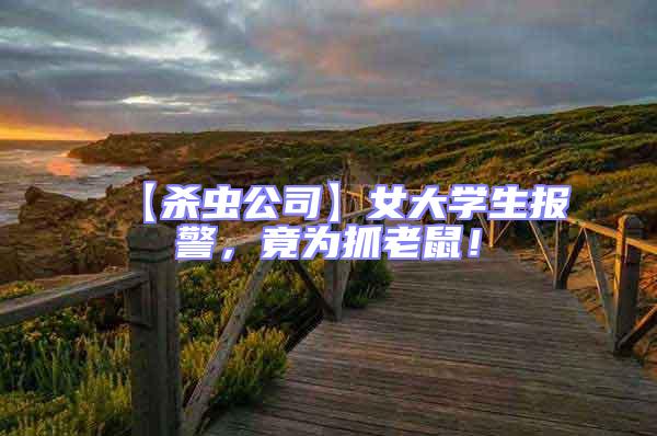 【殺蟲公司】女大學生報警，竟為抓老鼠！