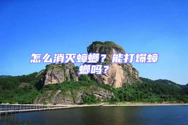 怎么消滅蟑螂？能打爆蟑螂嗎？