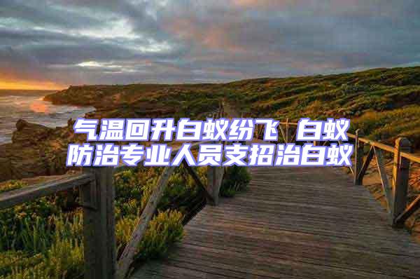 氣溫回升白蟻紛飛 白蟻防治專業(yè)人員支招治白蟻