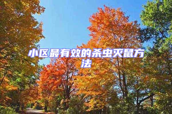 小區(qū)最有效的殺蟲滅鼠方法