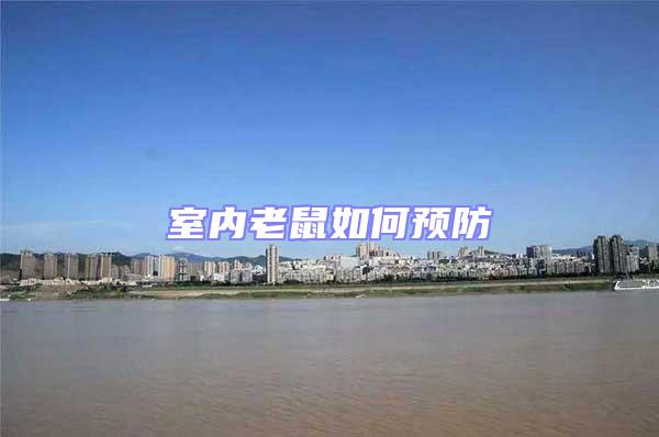 室內(nèi)老鼠如何預防