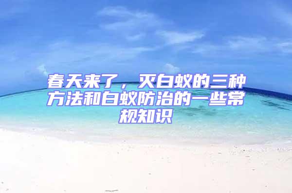 春天來(lái)了，滅白蟻的三種方法和白蟻防治的一些常規(guī)知識(shí)