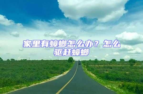 家里有蟑螂怎么辦？怎么驅趕蟑螂
