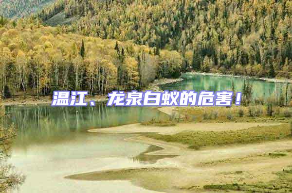 溫江、龍泉白蟻的危害！