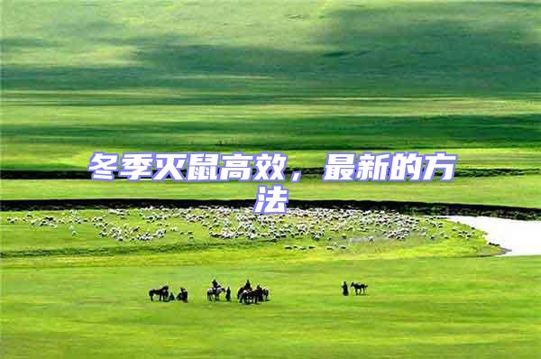 冬季滅鼠高效，最新的方法