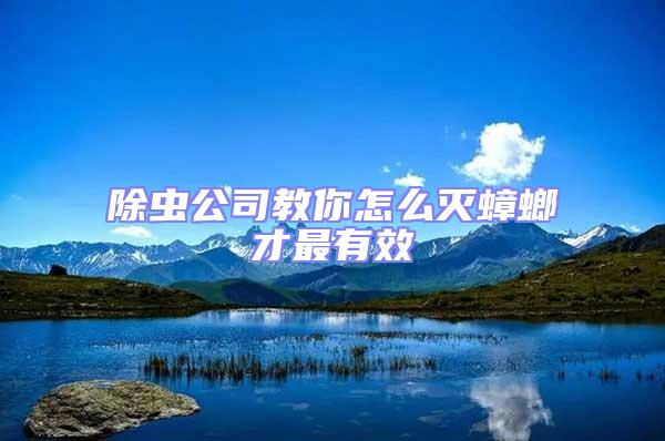 除蟲(chóng)公司教你怎么滅蟑螂才最有效