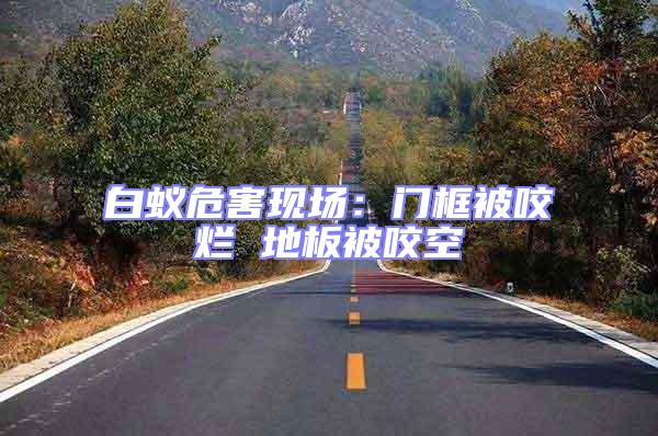 白蟻危害現(xiàn)場(chǎng)：門(mén)框被咬爛 地板被咬空