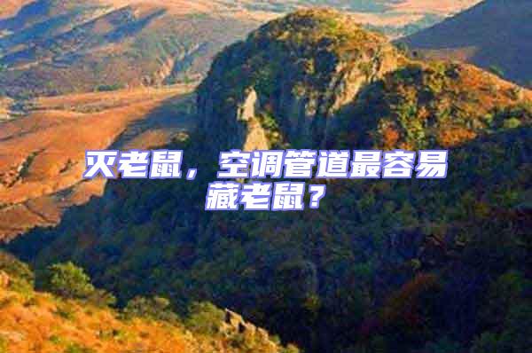 滅老鼠，空調(diào)管道最容易藏老鼠？