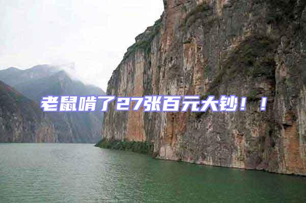 老鼠啃了27張百元大鈔！！