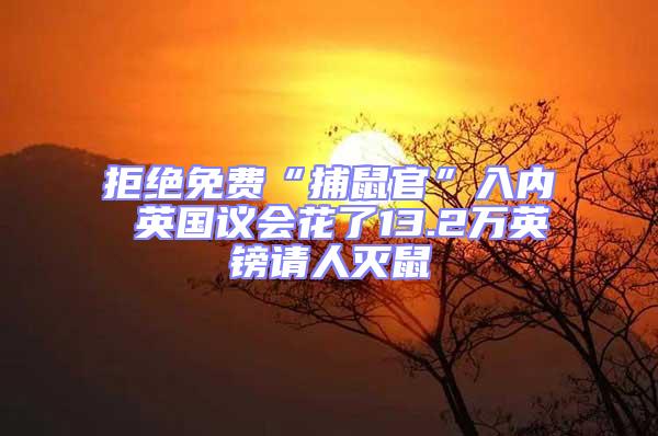 拒絕免費“捕鼠官”入內(nèi) 英國議會花了13.2萬英鎊請人滅鼠