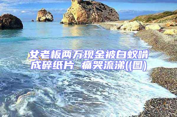 女老板兩萬(wàn)現(xiàn)金被白蟻啃成碎紙片 痛哭流涕((圖)