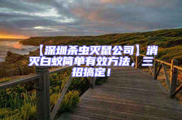 【深圳殺蟲滅鼠公司】消滅白蟻簡單有效方法，三招搞定！