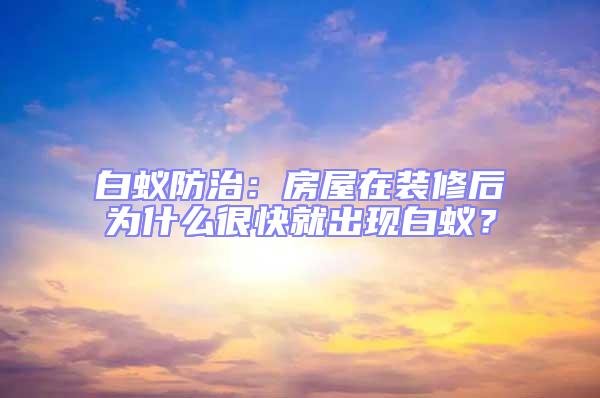 白蟻防治：房屋在裝修后為什么很快就出現白蟻？