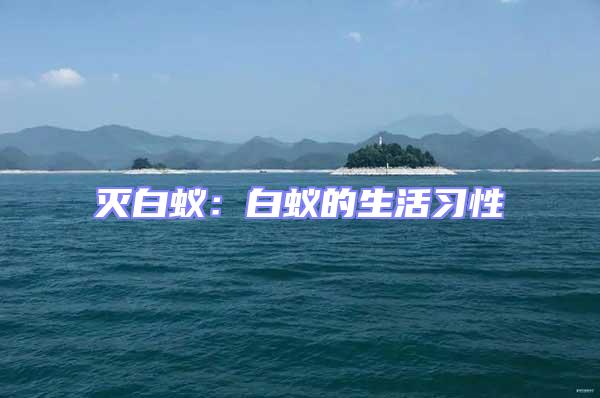 滅白蟻：白蟻的生活習性