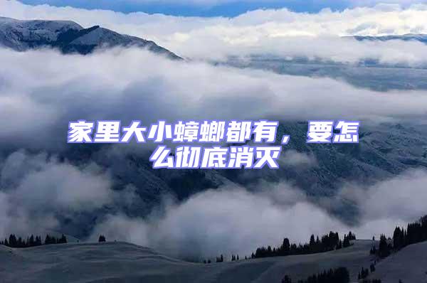 家里大小蟑螂都有，要怎么徹底消滅