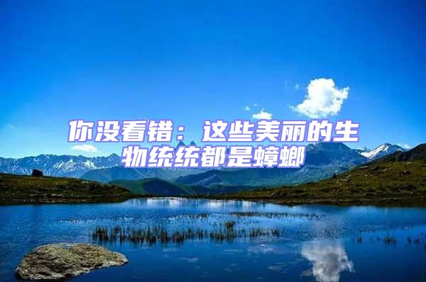 你沒看錯(cuò)：這些美麗的生物統(tǒng)統(tǒng)都是蟑螂