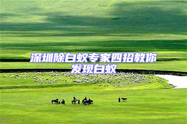 深圳除白蟻專家四招教你發現白蟻