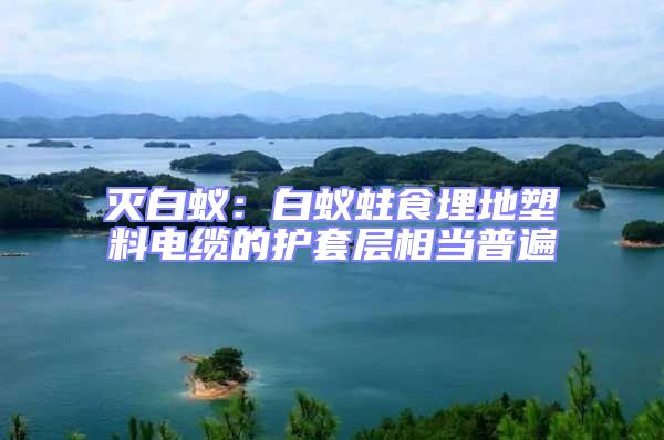 滅白蟻：白蟻蛀食埋地塑料電纜的護套層相當普遍