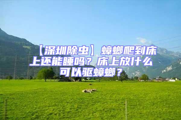 【深圳除蟲】蟑螂爬到床上還能睡嗎？床上放什么可以驅蟑螂？