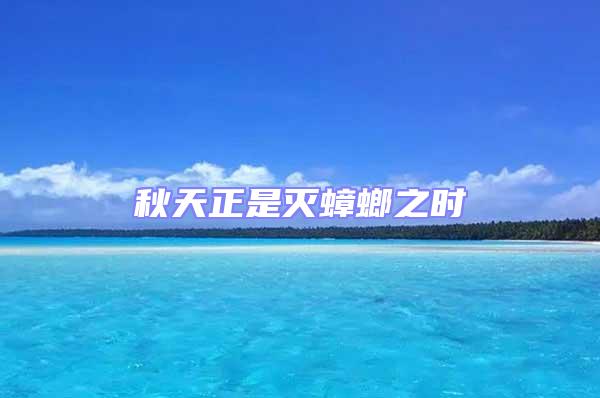 秋天正是滅蟑螂之時(shí)