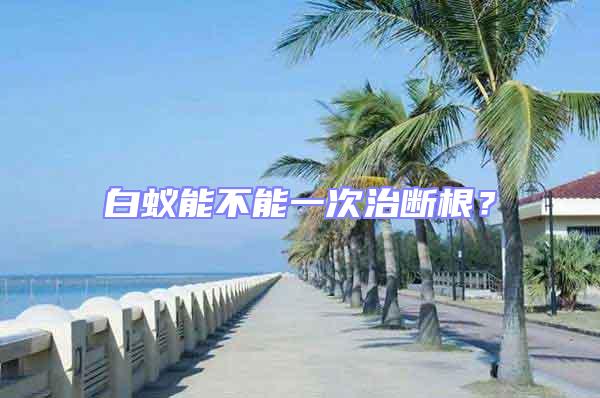 白蟻能不能一次治斷根？