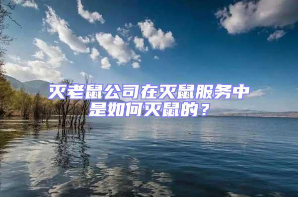 滅老鼠公司在滅鼠服務(wù)中是如何滅鼠的？