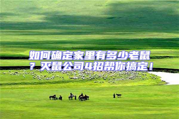 如何確定家里有多少老鼠？滅鼠公司4招幫你搞定！