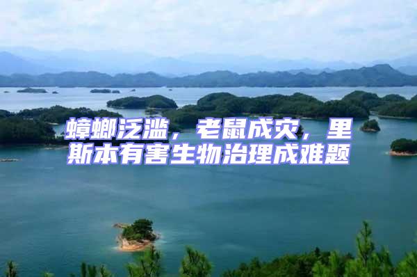 蟑螂泛濫，老鼠成災，里斯本有害生物治理成難題