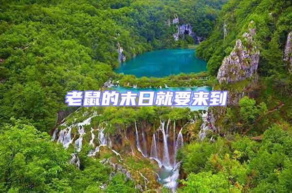 老鼠的末日就要來(lái)到