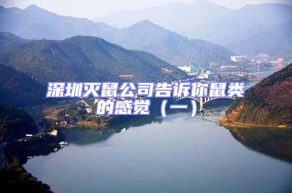 深圳滅鼠公司告訴你鼠類的感覺(jué)（一）