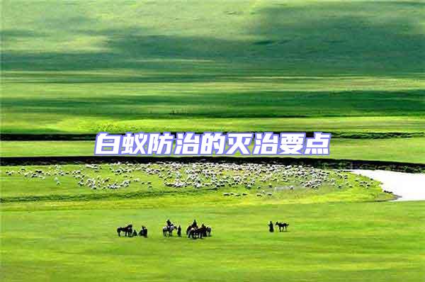 白蟻防治的滅治要點(diǎn)