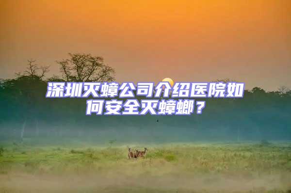 深圳滅蟑公司介紹醫(yī)院如何安全滅蟑螂？