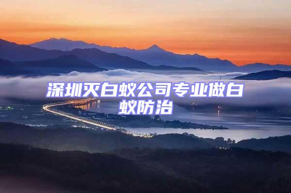 深圳滅白蟻公司專業做白蟻防治